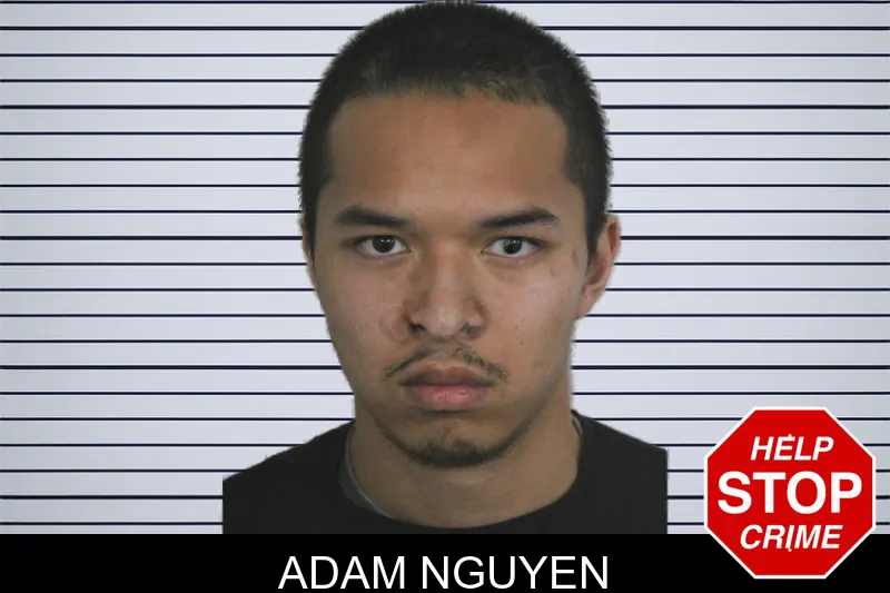 Adam Nguyen mugshot