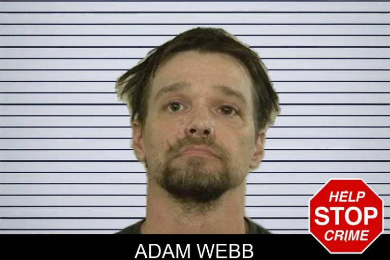 Adam Webb