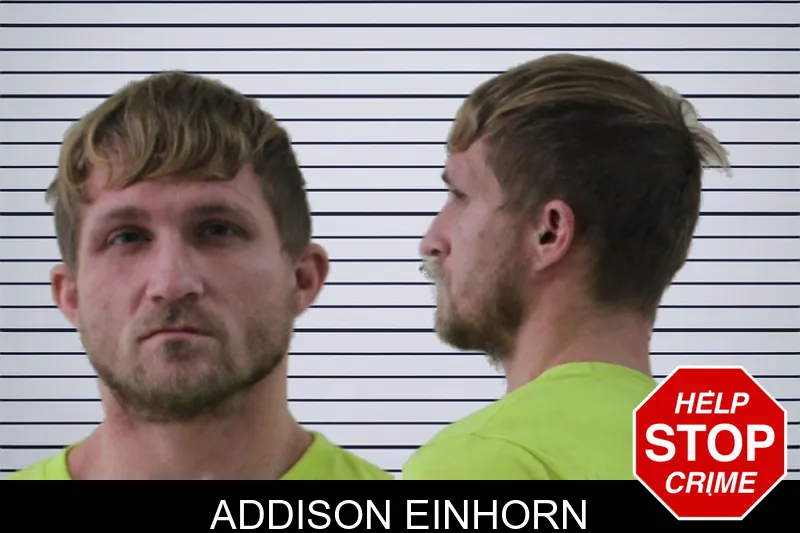 Addison Einhorn mugshot