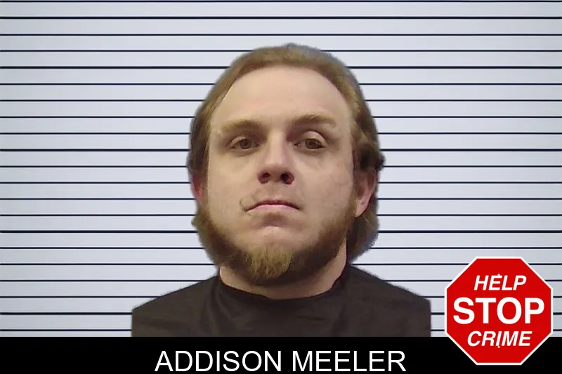 Addison Meeler mugshot – Chattooga County , Georgia Addison Meeler mugshot