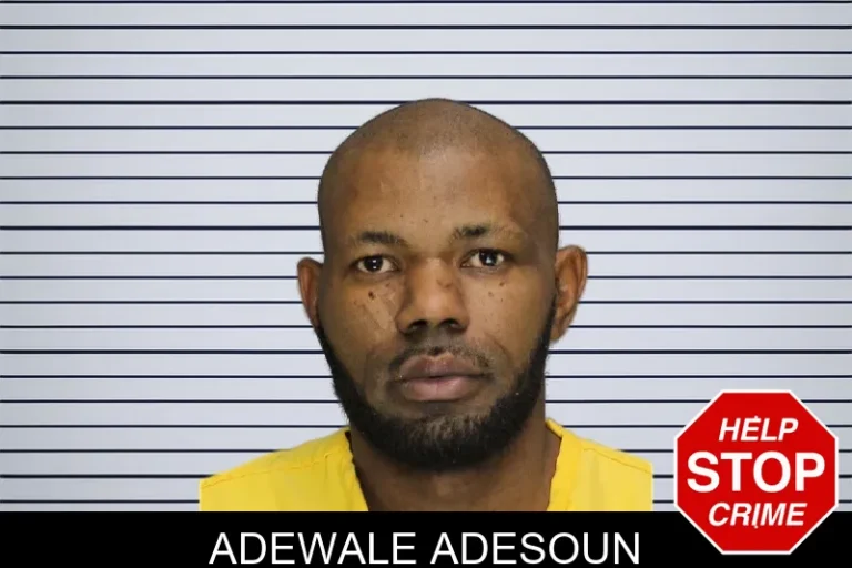 Adewale Adesoun mugshot – Cobb County , Georgia Adewale Adesoun