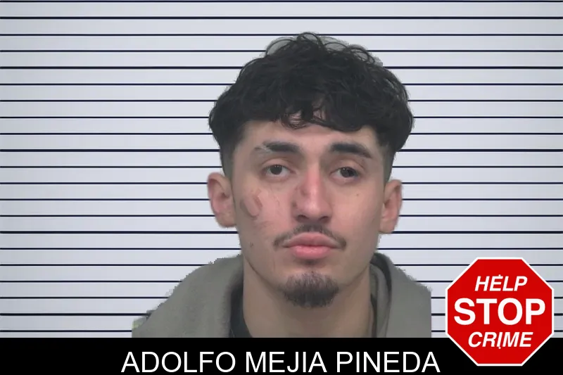 Adolfo Mejia Pineda mugshot