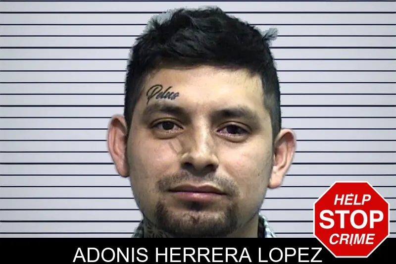 Adonis Herrera Lopez mugshot