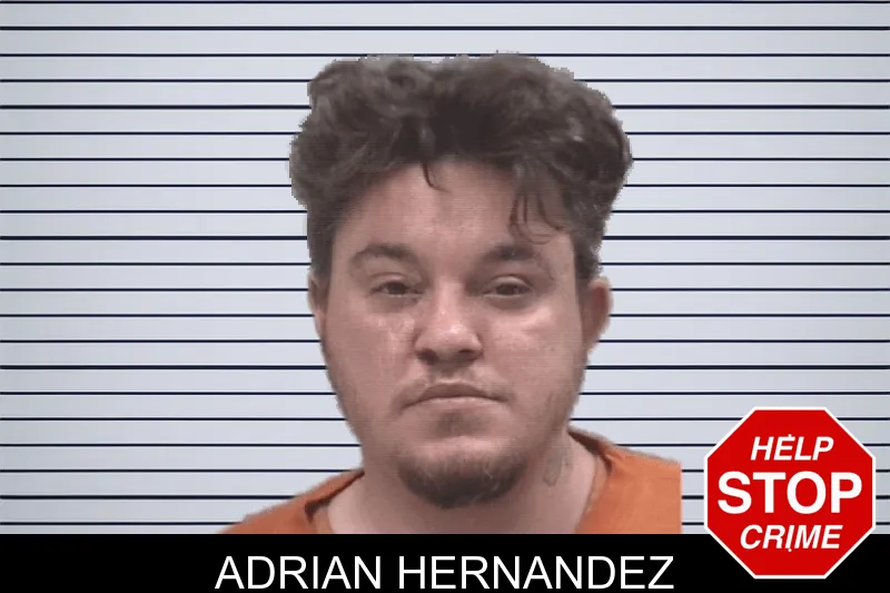 Adrian Hernandez mugshot