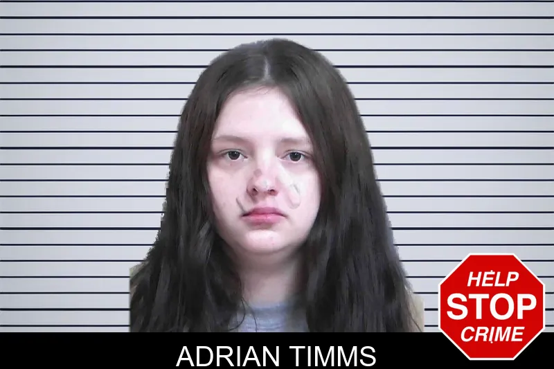 Adrian Timms mugshot