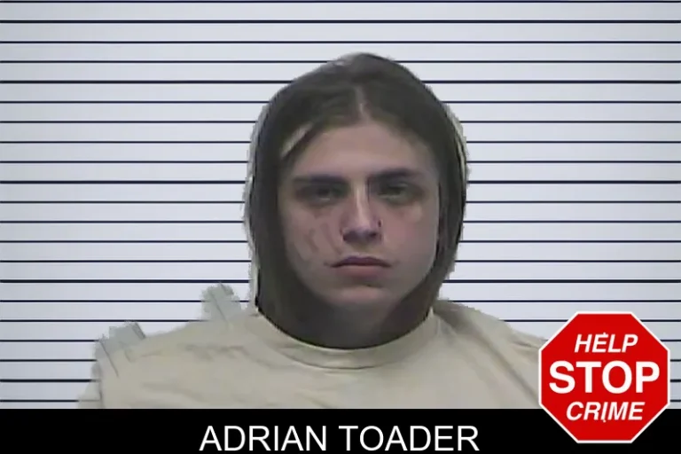 Adrian Toader