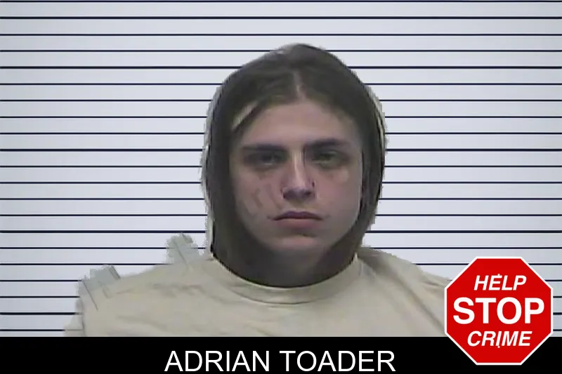 Adrian Toader mugshot