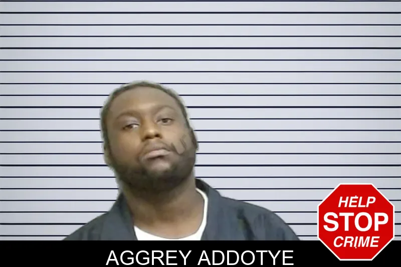 Aggrey Addotye mugshot – Fulton County , Georgia Aggrey Addotye mugshot