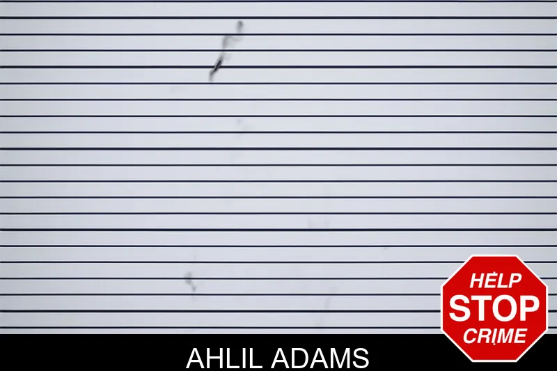 Ahlil Adams mugshot