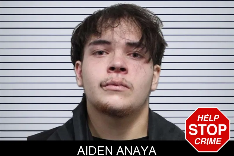 Aiden Anaya mugshot