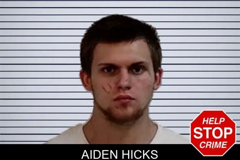 Aiden Hicks