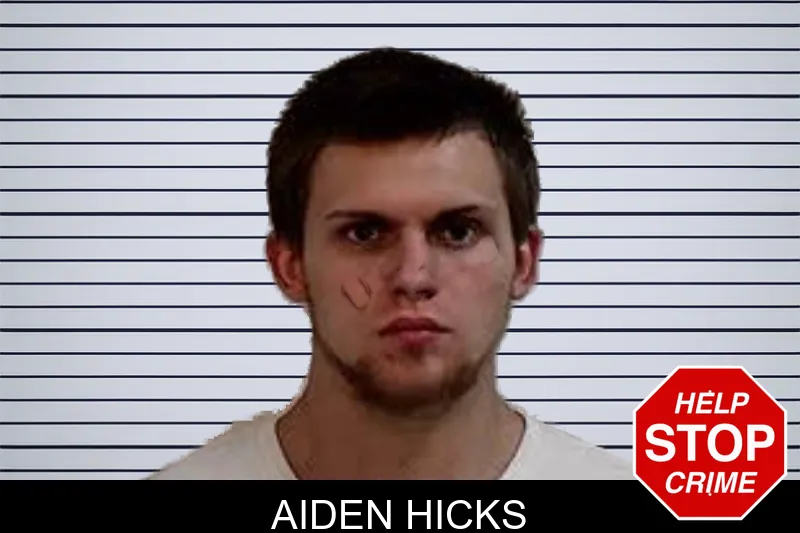 Aiden Hicks mugshot