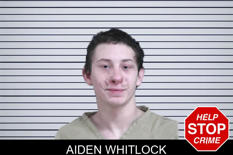 Aiden Whitlock mugshot