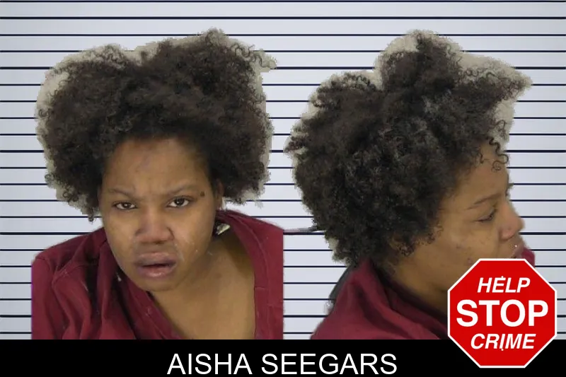 Aisha Seegars mugshot
