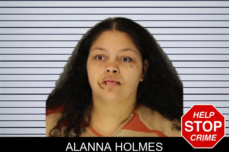 Alanna Holmes mugshot