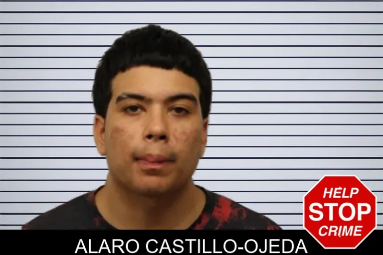 Alaro Castillo-Ojeda