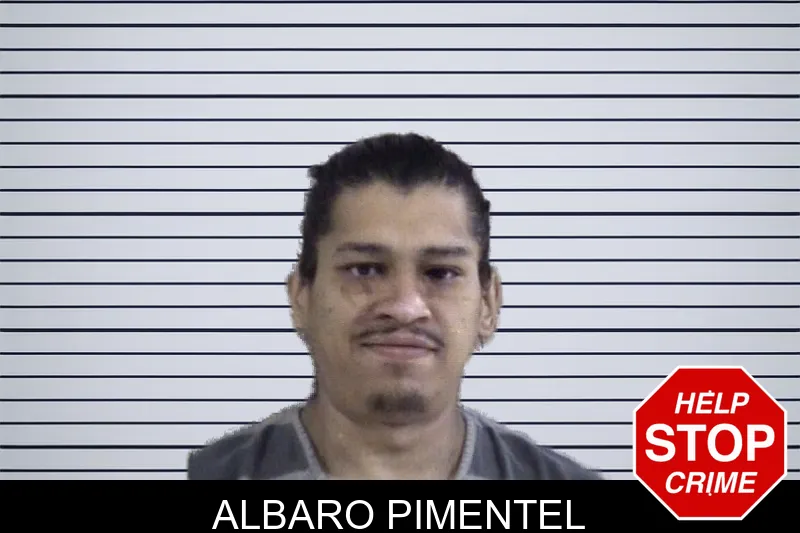 Albaro Pimentel mugshot