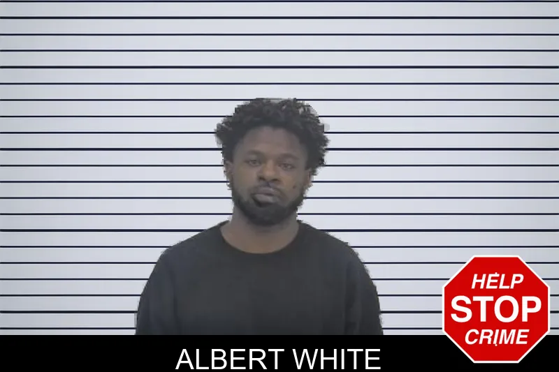 Albert White mugshot – Coffee County , Georgia Albert White mugshot
