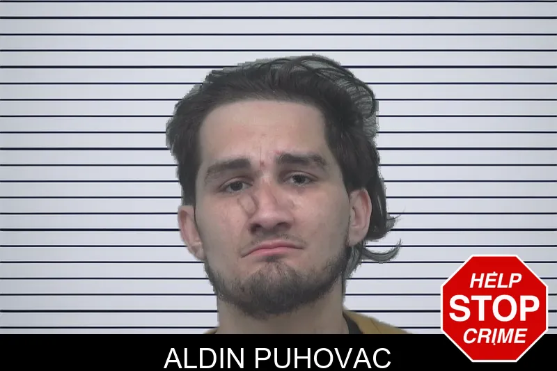 Aldin Puhovac mugshot