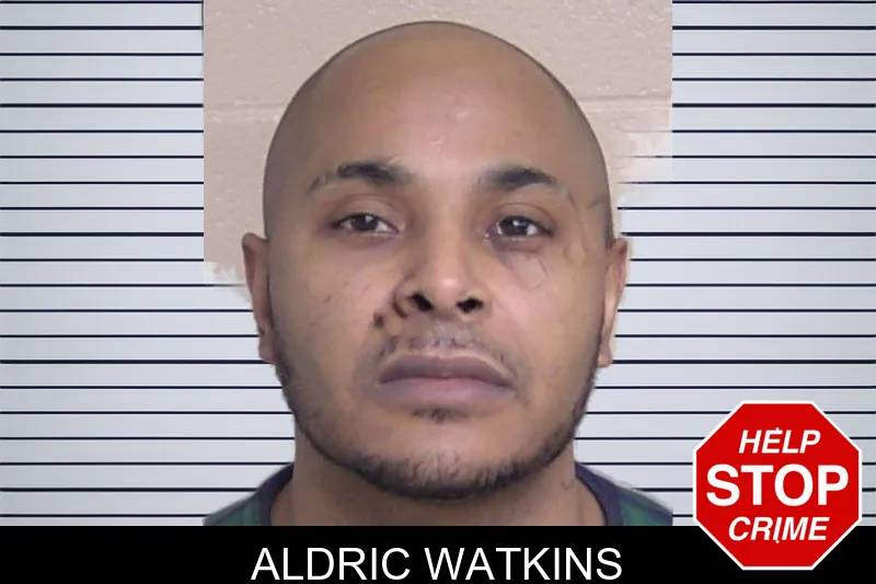 Aldric Watkins mugshot