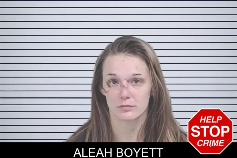 Aleah Boyett mugshot – Lowndes County , Georgia Aleah Boyett