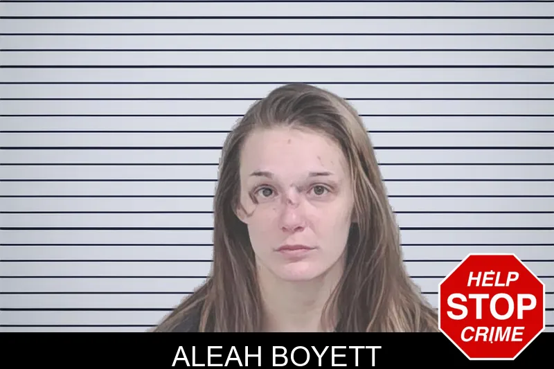 Aleah Boyett mugshot