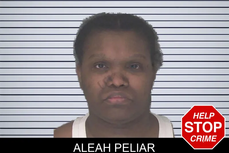 Aleah Peliar mugshot – Douglas County , Georgia Aleah Peliar mugshot