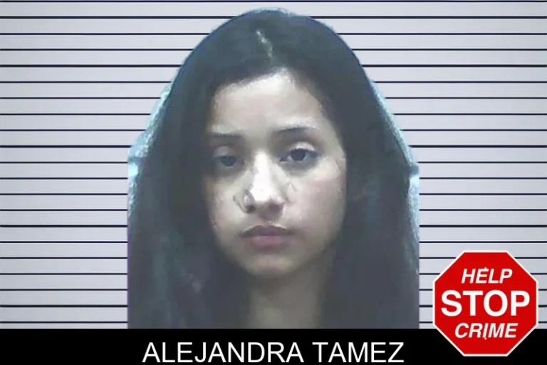 Alejandra Tamez mugshot – Jackson County , Georgia Alejandra Tamez