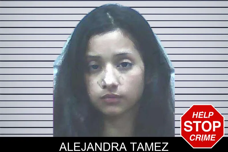 Alejandra Tamez mugshot