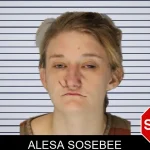 Alesa Sosebee mugshot