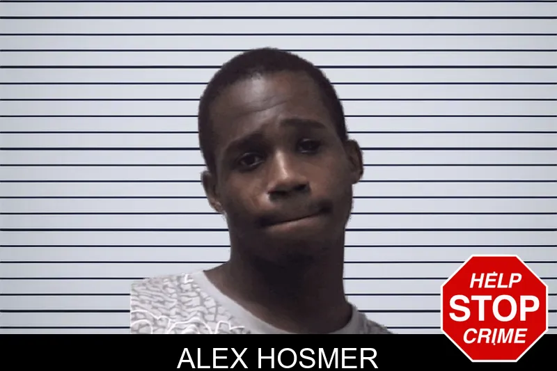 Alex Hosmer mugshot