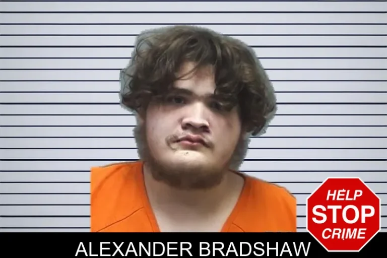 Alexander Bradshaw