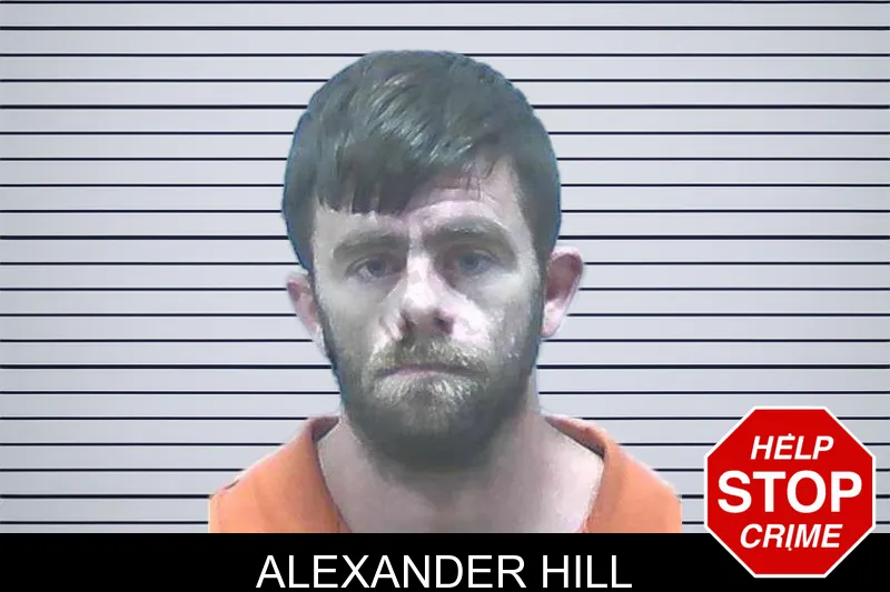 Alexander Hill mugshot