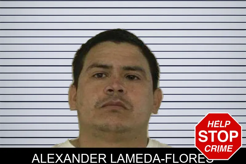 Alexander Lameda-Flores mugshot – Liberty County , Georgia Alexander Lameda-Flores mugshot