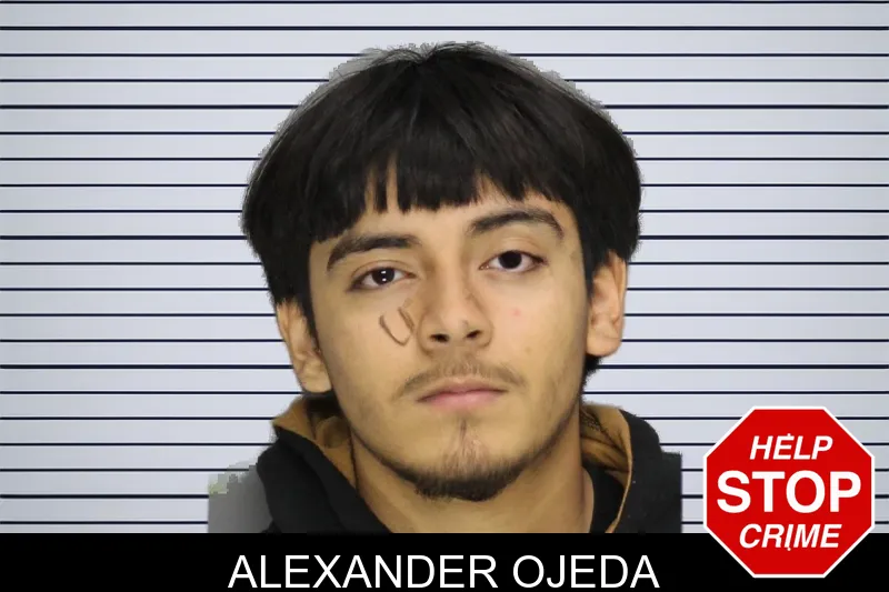 Alexander Ojeda mugshot – Cobb County , Georgia Alexander Ojeda mugshot