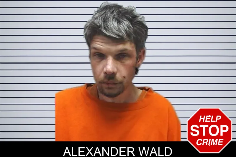 Alexander Wald mugshot – Cherokee County , Georgia Alexander Wald mugshot