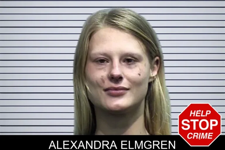 Alexandra Elmgren mugshot – Effingham County , Georgia Alexandra Elmgren