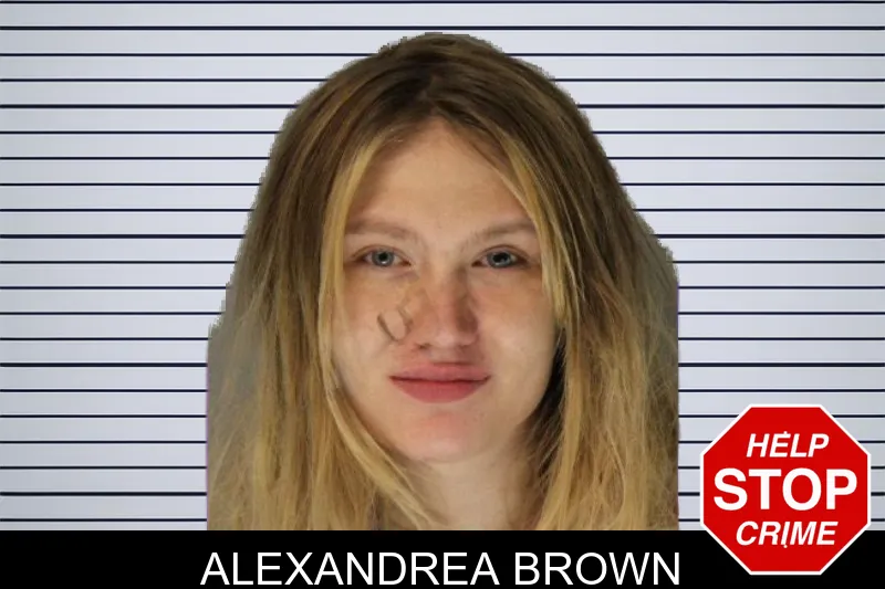 Alexandrea Brown mugshot – Hall County , Georgia Alexandrea Brown mugshot