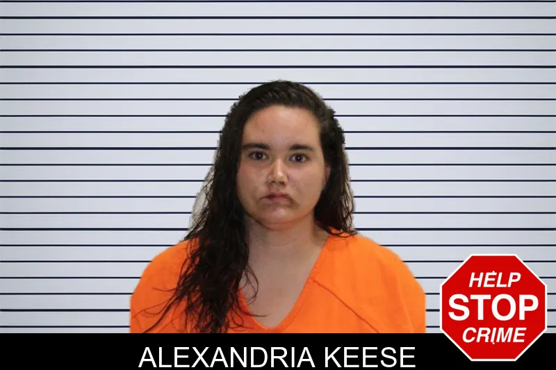 Alexandria Keese mugshot – Murray County , Georgia Alexandria Keese mugshot