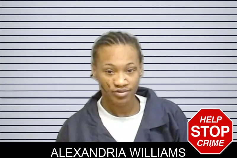 Alexandria Williams mugshot