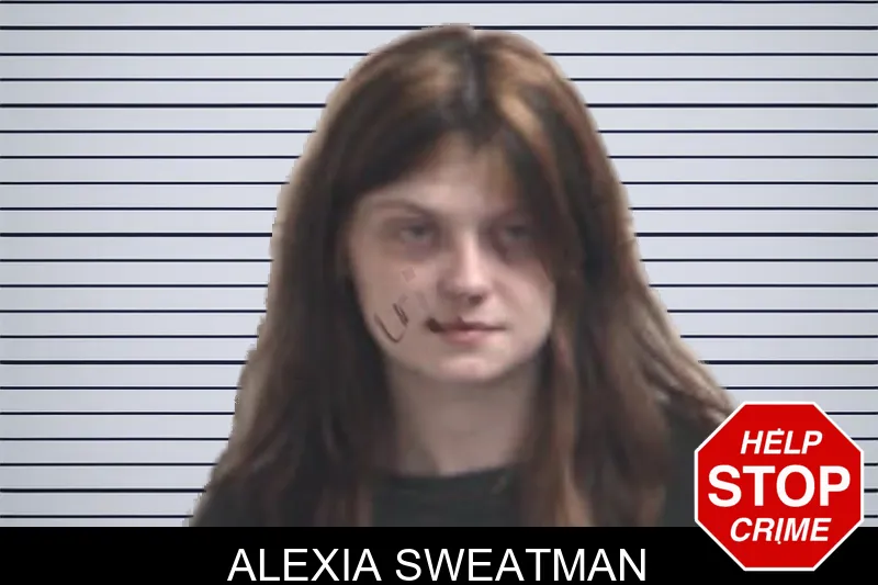 Alexia Sweatman mugshot – Henry County , Georgia Alexia Sweatman mugshot