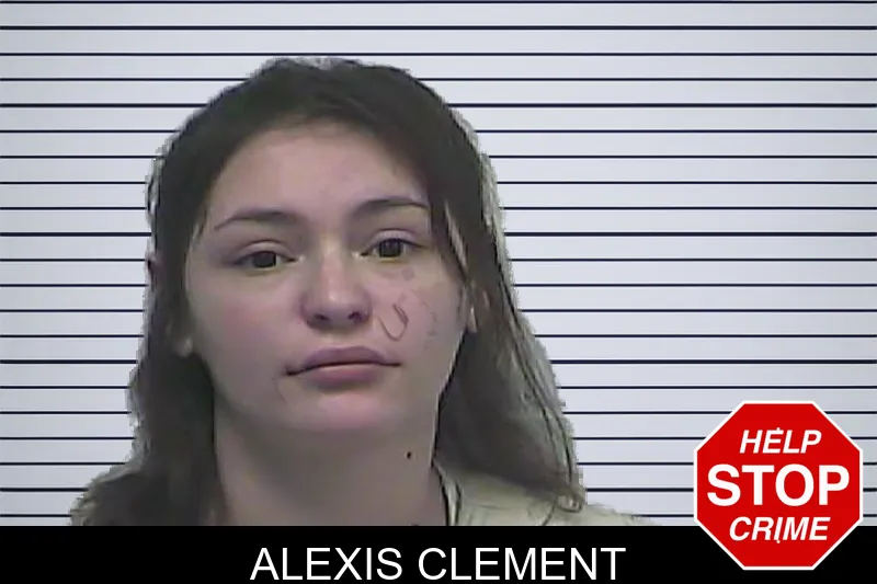 Alexis Clement mugshot – Dawson County , Georgia Alexis Clement mugshot