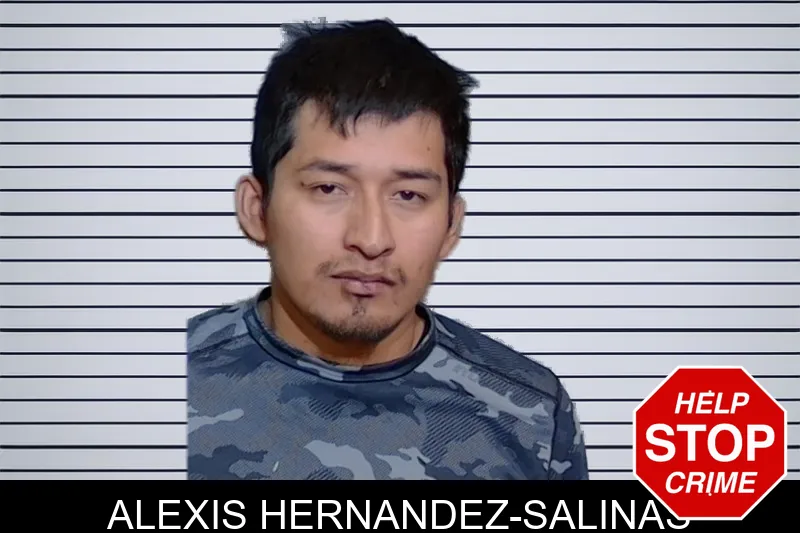 Alexis Hernandez-Salinas mugshot