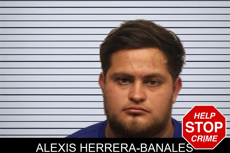 Alexis Herrera-Banales mugshot