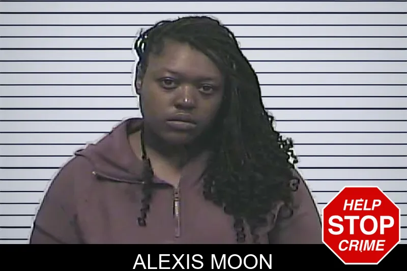 Alexis Moon mugshot – Dawson County , Georgia Alexis Moon mugshot
