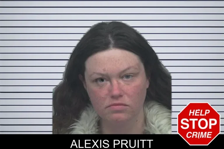 Alexis Pruitt mugshot – Gwinnett County , Georgia Alexis Pruitt