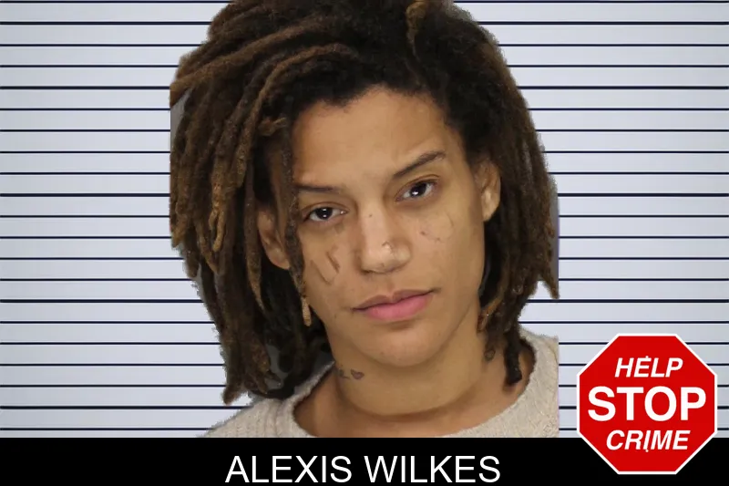 Alexis Wilkes mugshot