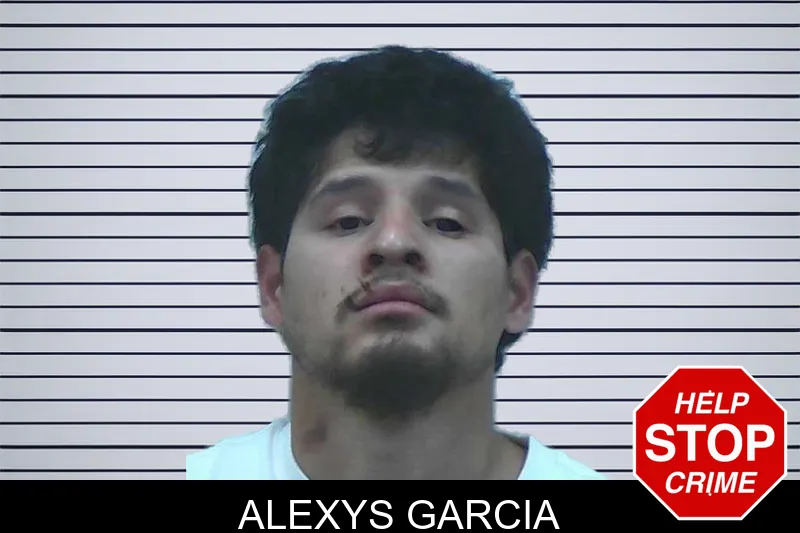 Alexys Garcia mugshot