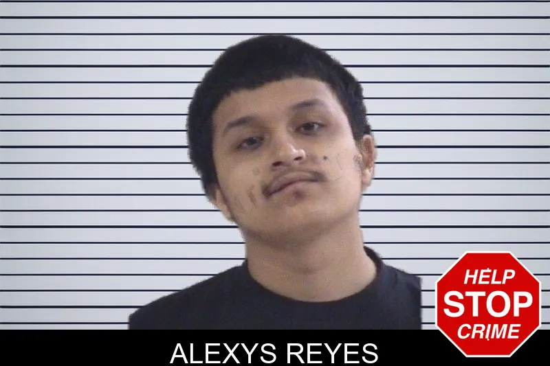 Alexys Reyes mugshot – Whitfield County , Georgia Alexys Reyes mugshot