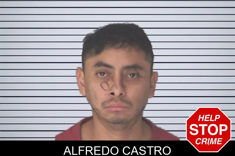 Alfredo Castro mugshot
